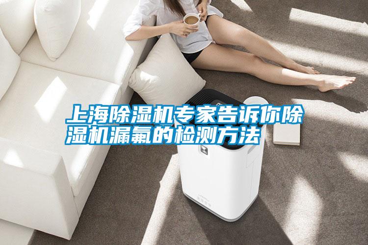 上海除濕機專家告訴你除濕機漏氟的檢測方法