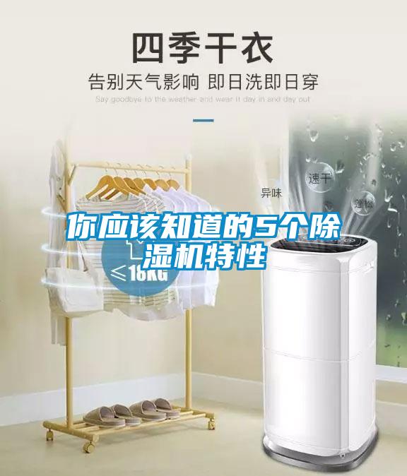 你應該知道的5個除濕機特性