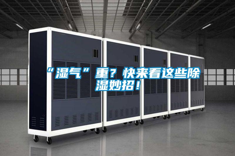 “濕氣”重？快來看這些除濕妙招！