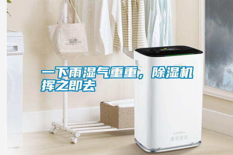 一下雨濕氣重重，除濕機揮之即去