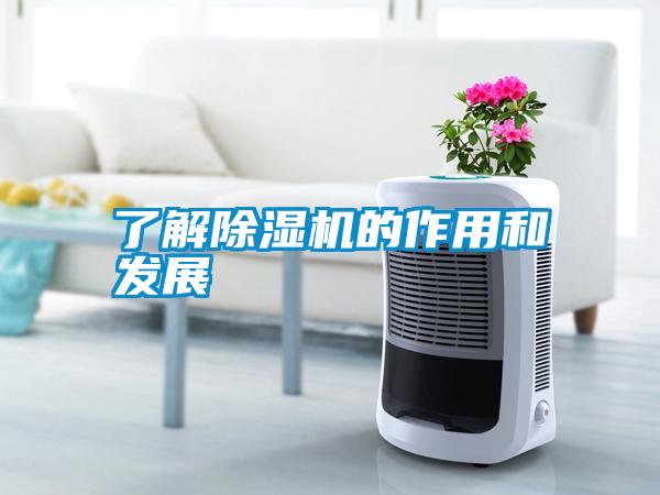 了解除濕機的作用和發(fā)展