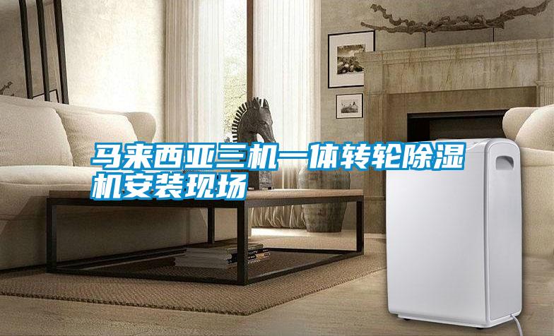 馬來西亞三機一體轉(zhuǎn)輪除濕機安裝現(xiàn)場