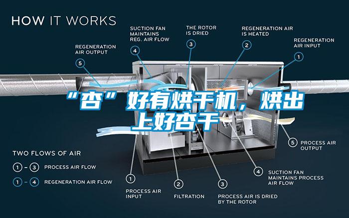 “杏”好有烘干機，烘出上好杏干