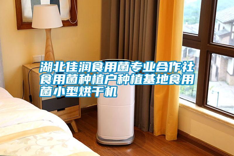 湖北佳潤食用菌專業合作社食用菌種植戶種植基地食用菌小型烘干機