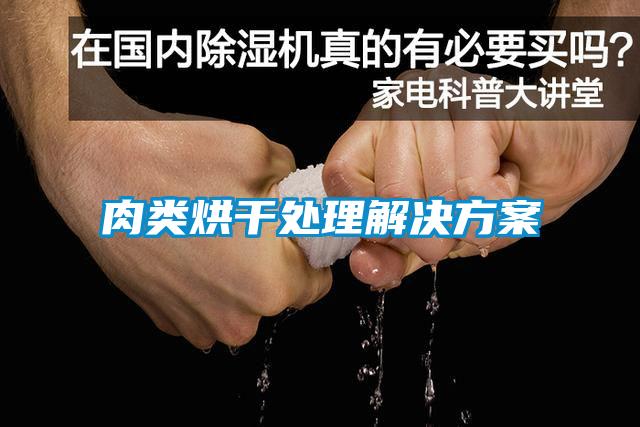 肉類烘干處理解決方案