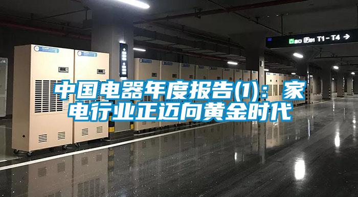 中國電器年度報告(1)：家電行業正邁向黃金時代