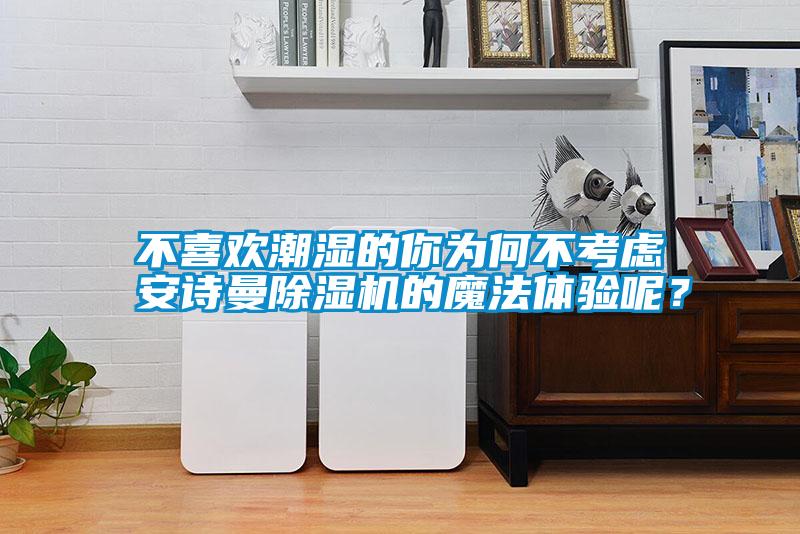 不喜歡潮濕的你為何不考慮安詩曼除濕機的魔法體驗呢？