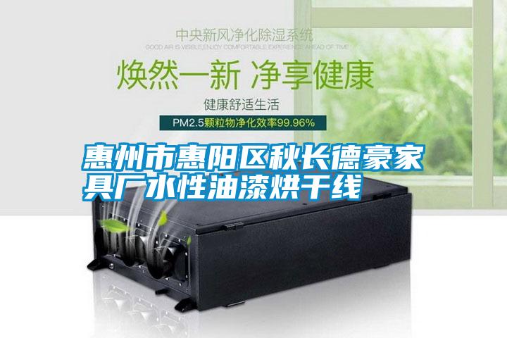 惠州市惠陽區(qū)秋長德豪家具廠水性油漆烘干線
