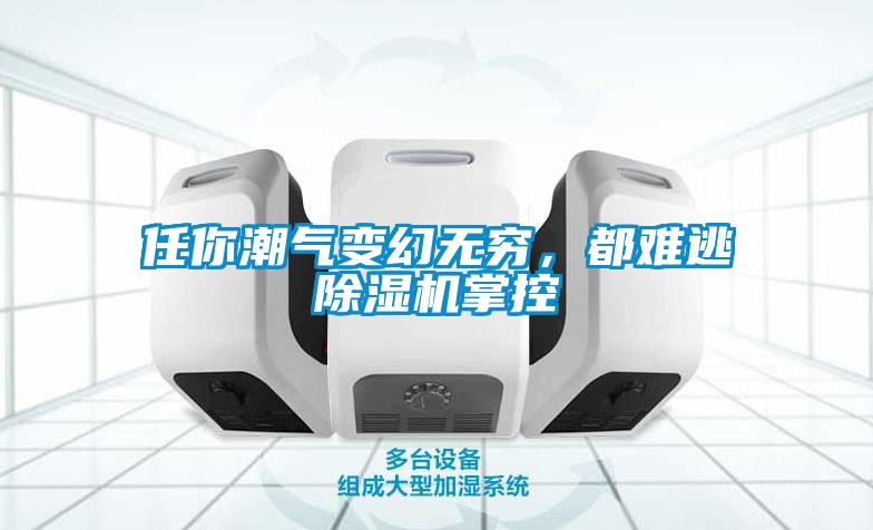 任你潮氣變幻無窮，都難逃除濕機(jī)掌控