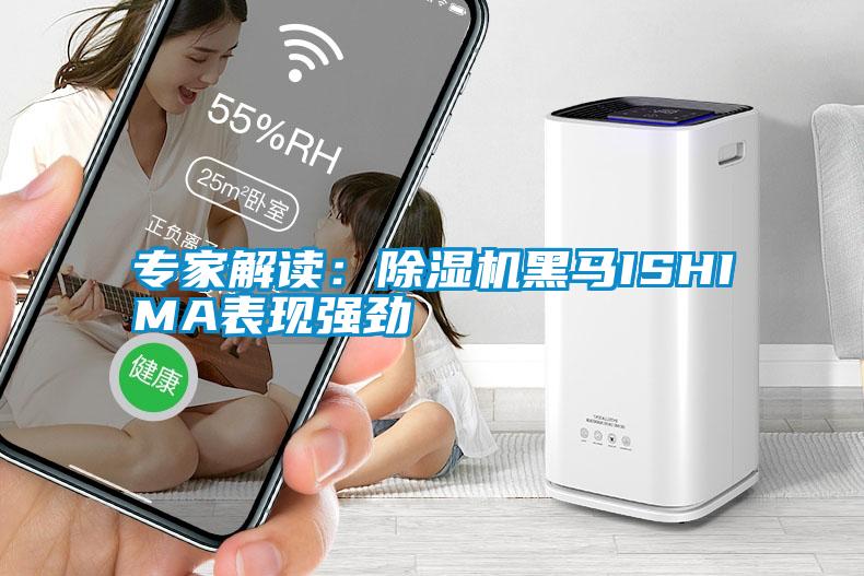 專家解讀：除濕機黑馬ISHIMA表現強勁