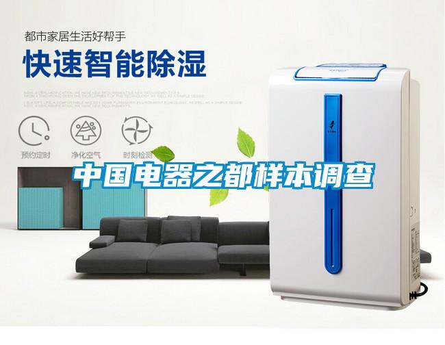 中國電器之都樣本調查