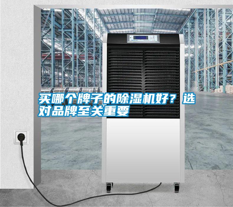 買哪個牌子的除濕機好？選對品牌至關重要