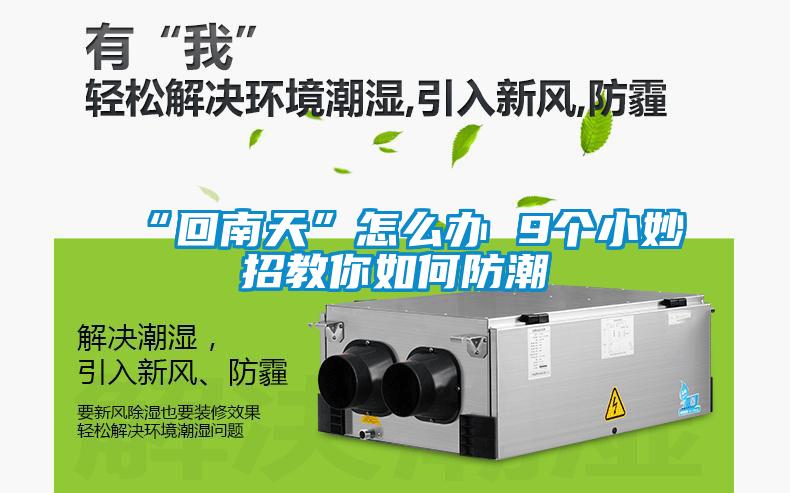 “回南天”怎么辦 9個小妙招教你如何防潮