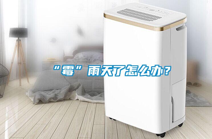 “霉”雨天了怎么辦？