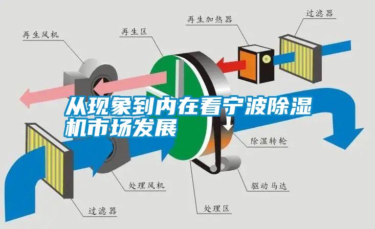從現象到內在看寧波除濕機市場發展