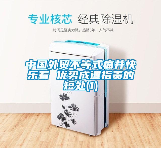 中國外貿不等式痛并快樂著 優勢成遭指責的短處(1)