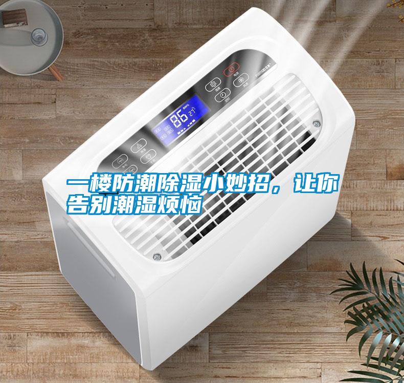 一樓防潮除濕小妙招，讓你告別潮濕煩惱