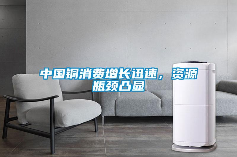 中國銅消費增長迅速，資源瓶頸凸顯