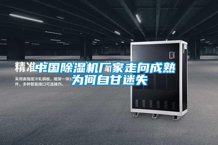 中國除濕機廠家走向成熟 為何自甘迷失