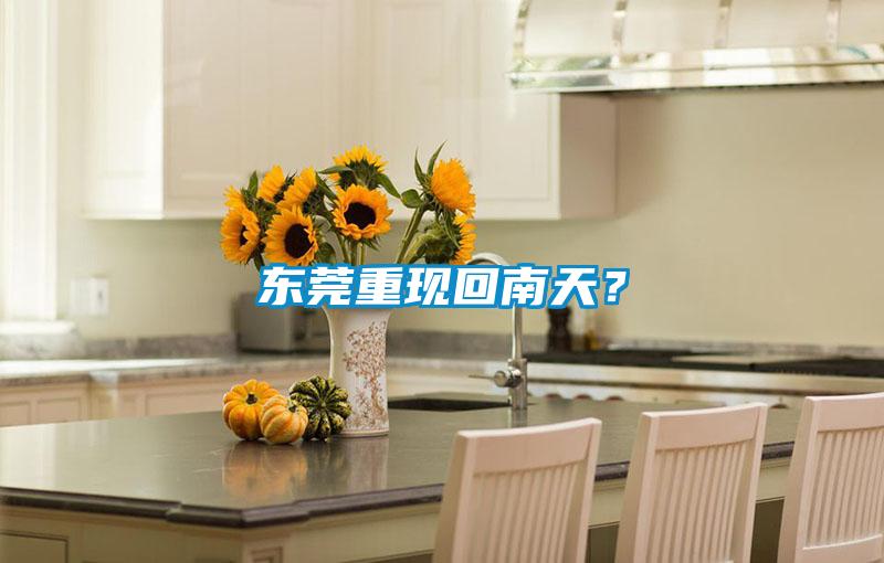 東莞重現回南天？