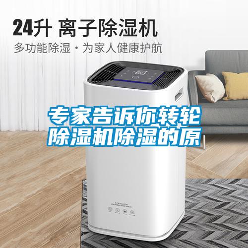 專(zhuān)家告訴你轉(zhuǎn)輪除濕機(jī)除濕的原