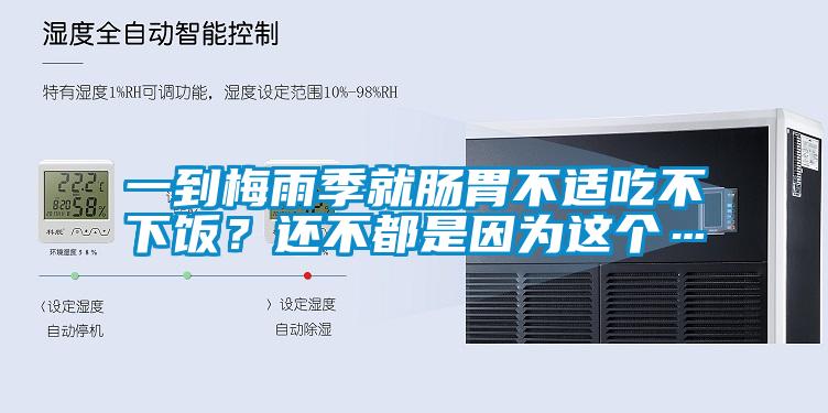 一到梅雨季就腸胃不適吃不下飯？還不都是因為這個…