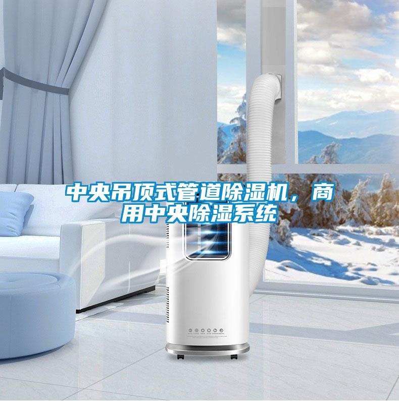 中央吊頂式管道除濕機，商用中央除濕系統(tǒng)
