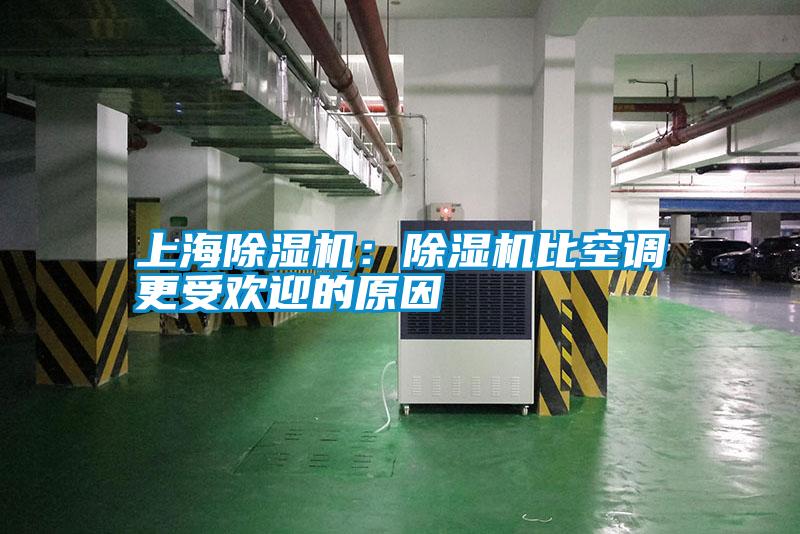 上海除濕機(jī)：除濕機(jī)比空調(diào)更受歡迎的原因