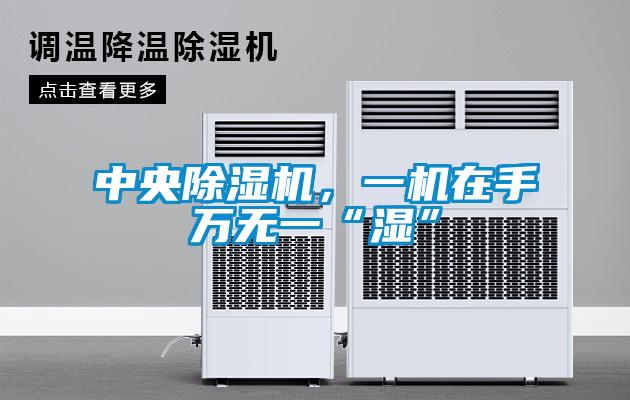 中央除濕機，一機在手萬無一“濕”