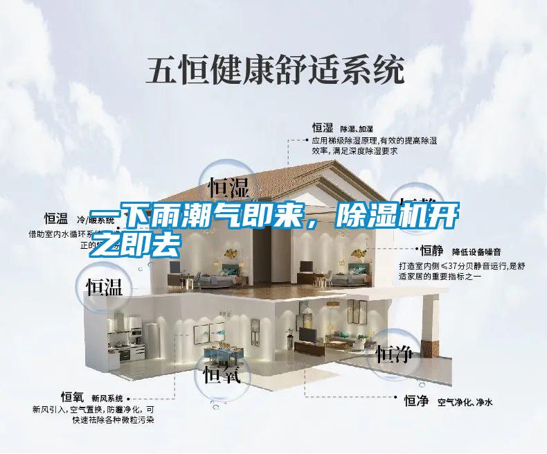 一下雨潮氣即來，除濕機開之即去