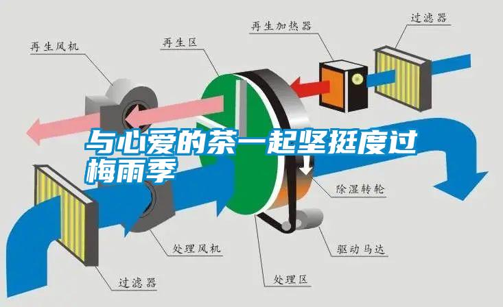 與心愛的茶一起堅挺度過梅雨季