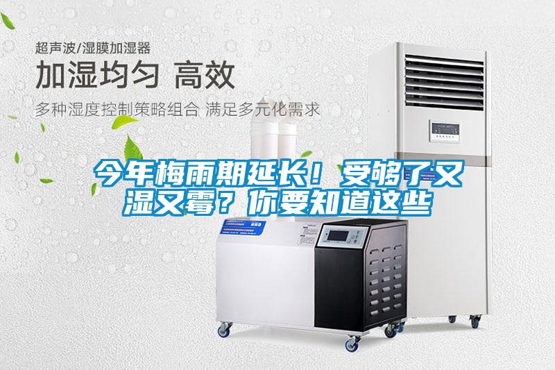 今年梅雨期延長！受夠了又濕又霉？你要知道這些