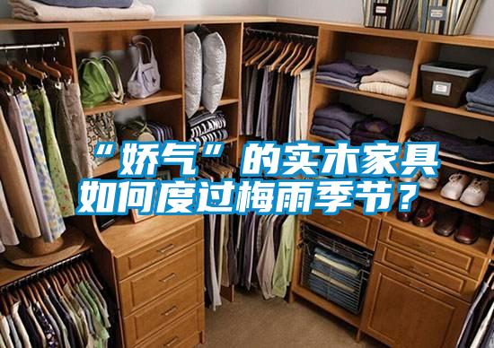 “嬌氣”的實木家具如何度過梅雨季節(jié)？