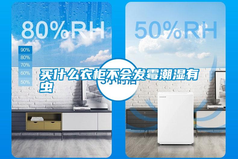 買什么衣柜不會(huì)發(fā)霉潮濕有蟲