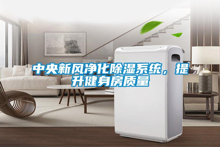 中央新風凈化除濕系統，提升健身房質量