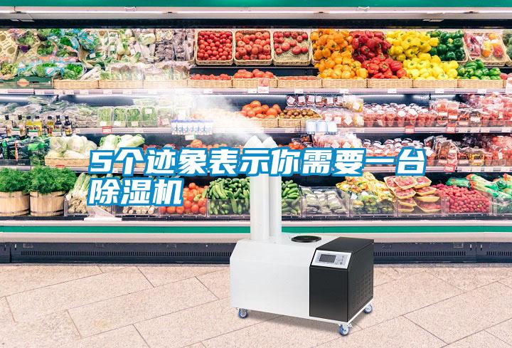 5個跡象表示你需要一臺除濕機
