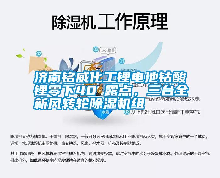 濟(jì)南銘威化工鋰電池鈷酸鋰零下40℃露點,三臺全新風(fēng)轉(zhuǎn)輪除濕機(jī)組