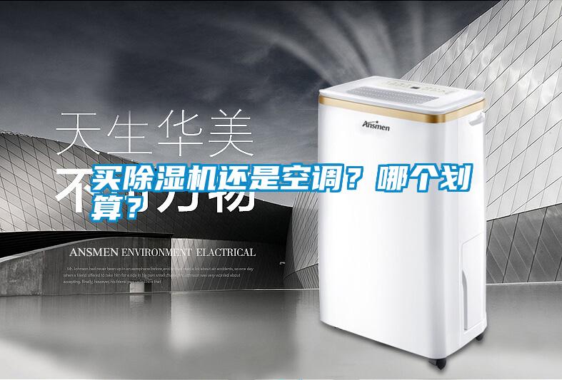 買除濕機還是空調？哪個劃算？