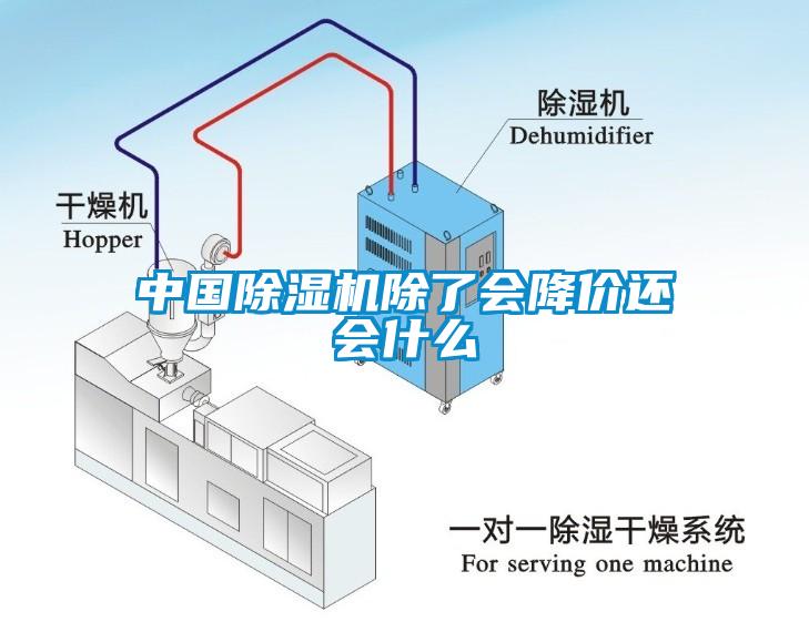 中國除濕機除了會降價還會什么