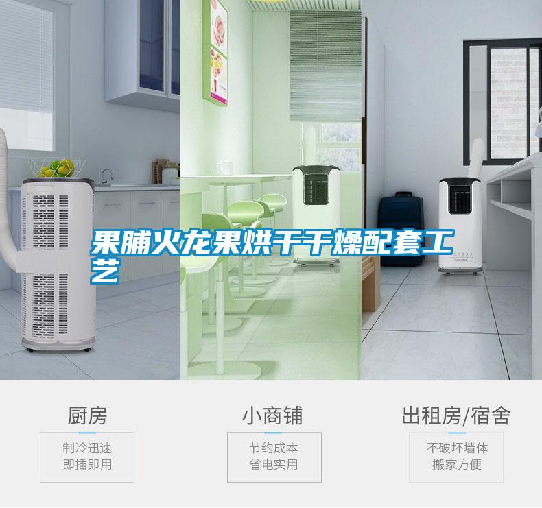 果脯火龍果烘干干燥配套工藝