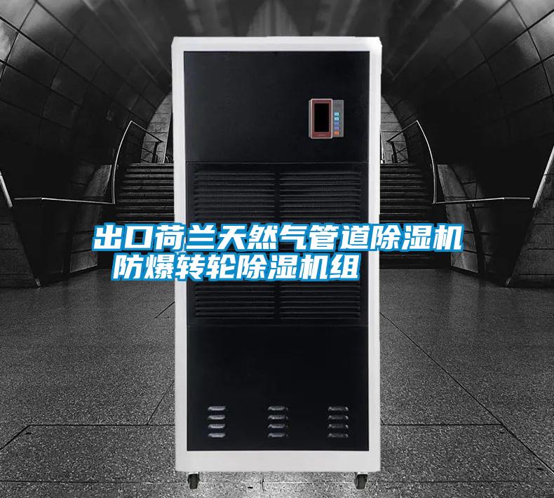 出口荷蘭天然氣管道除濕機 防爆轉輪除濕機組