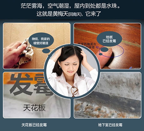 常見問題如何正確安裝防爆除濕機