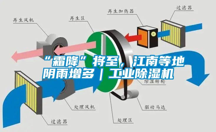 “霜降”將至，江南等地陰雨增多｜工業除濕機