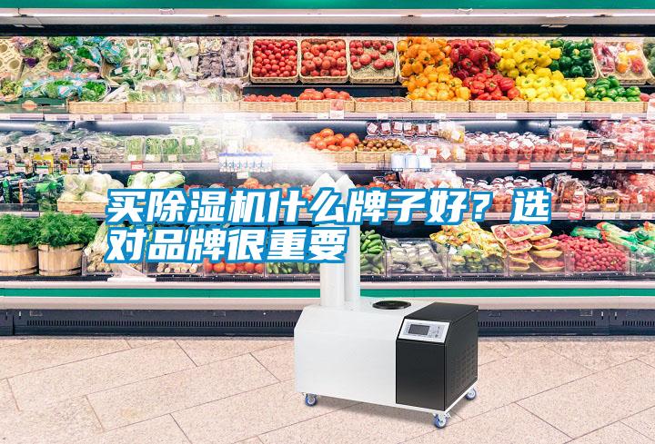 買除濕機什么牌子好？選對品牌很重要