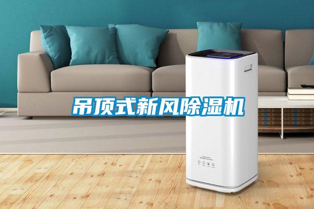 吊頂式新風(fēng)除濕機(jī)