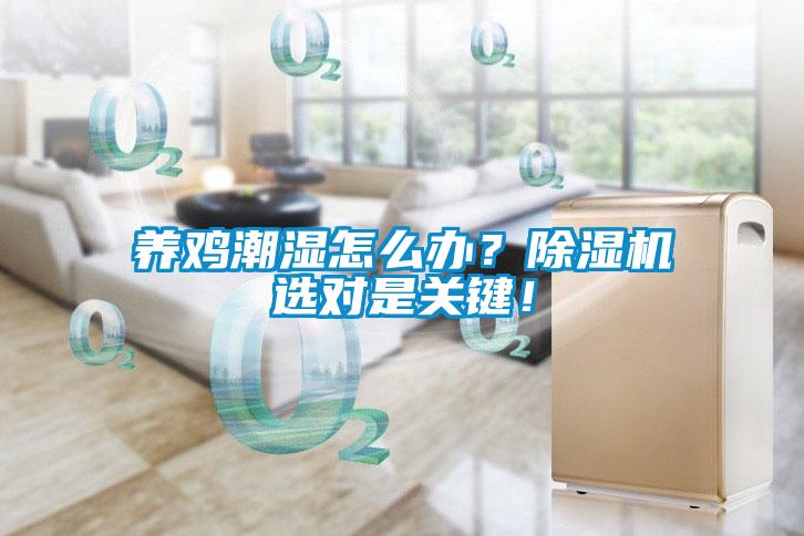養雞潮濕怎么辦？除濕機選對是關鍵！