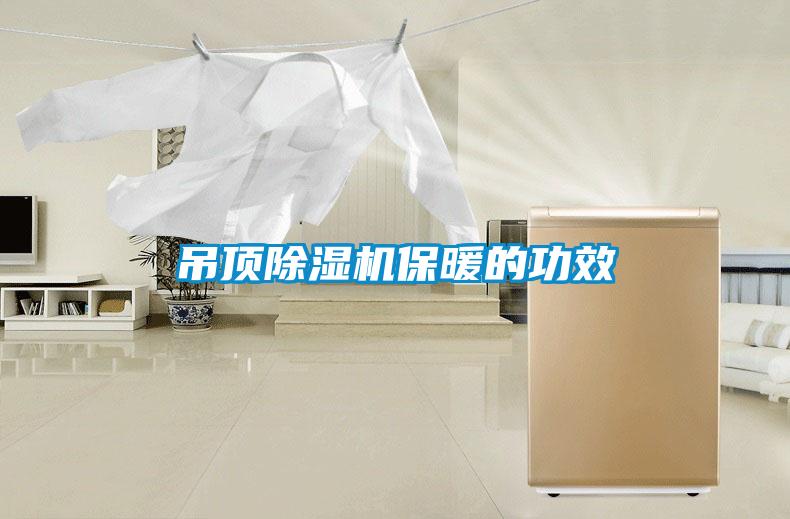吊頂除濕機保暖的功效