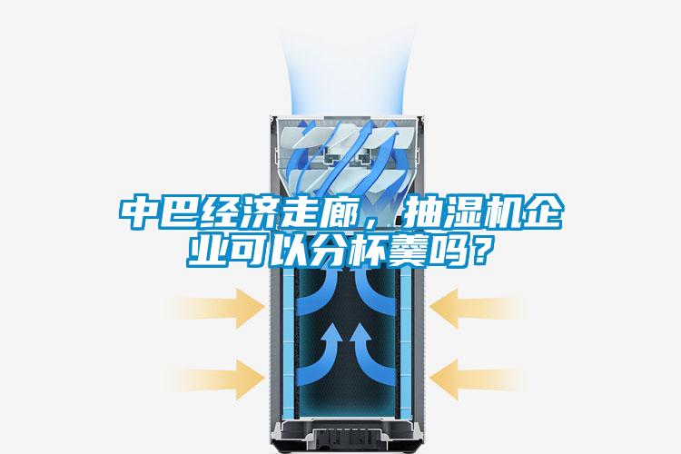 中巴經濟走廊，抽濕機企業可以分杯羹嗎？