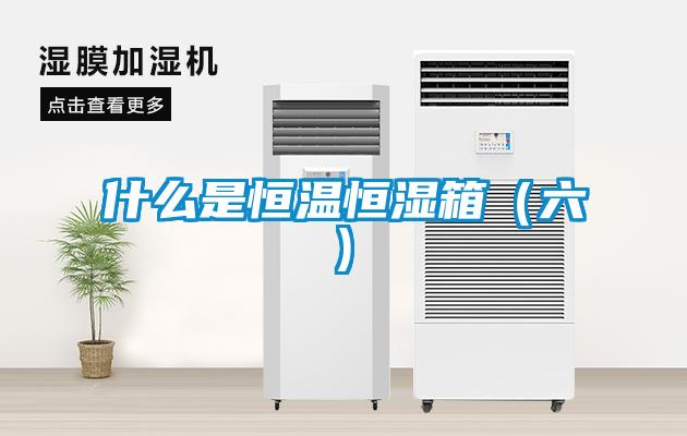 什么是恒溫恒濕箱（六)
