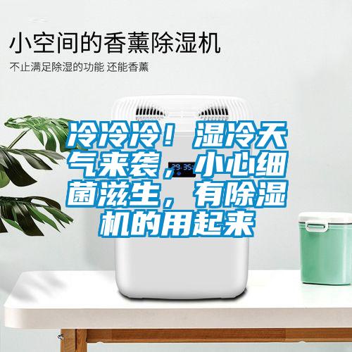 冷冷冷！濕冷天氣來襲，小心細菌滋生，有除濕機的用起來